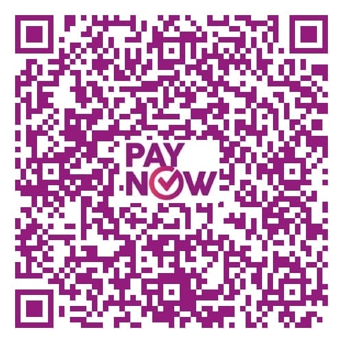 PTE-Singapore-Paynow-Registration